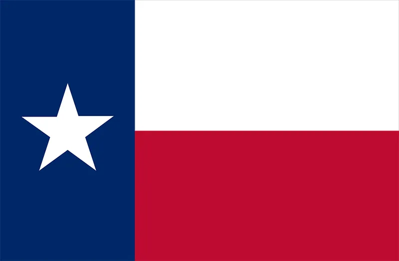 A texas flag with a star in the middle.